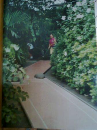 Minigolf Ascona