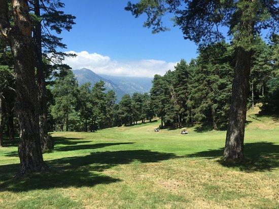 Golf Premeno