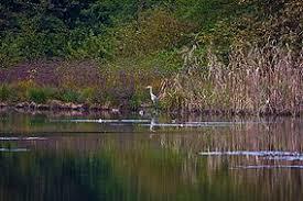Parc naturel des Lagoni de Mercurago